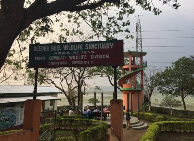 Deepar Beel Wildlife Sanctuary, Kamrup Metropolitan, Assam - Vushii.com Deepar Beel Wildlife Sanctuary, Kamrup Metropolitan, Assam - Vushii.com